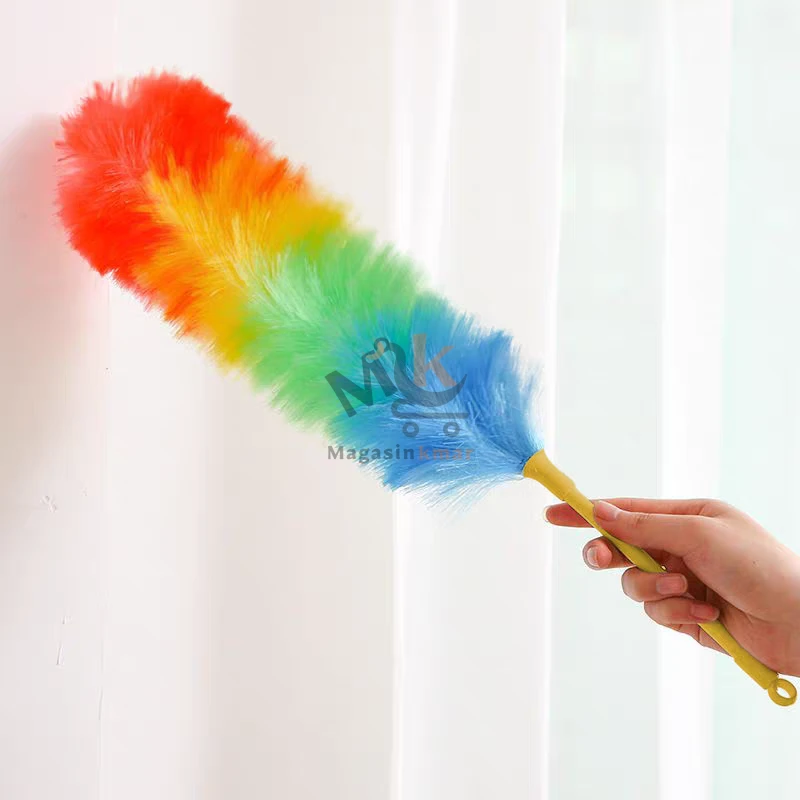 Plumeau de nettoyage